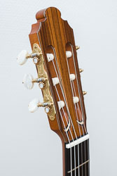 Kopfplatte aus Santospalisander und Alessi-Mechaniken