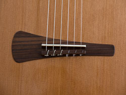 Steg - Kashagitarre